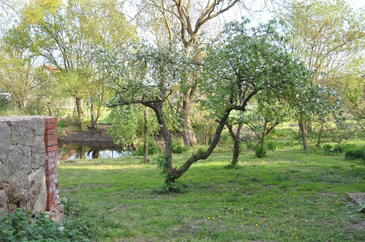 Ferienhaus Caselow 23 Bergholz 外观 照片